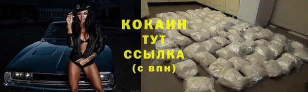 стафф Верхний Тагил