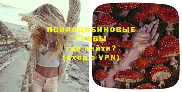 a pvp Верея