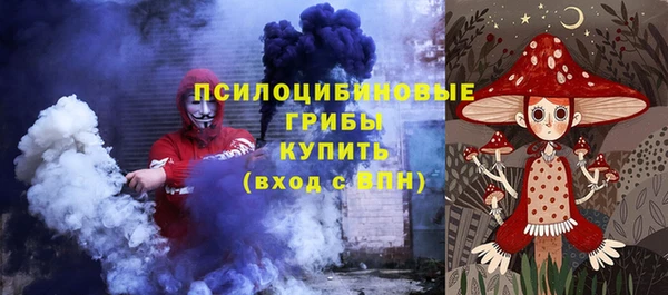 тгк Лиски