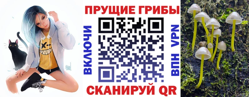 Галлюциногенные грибы прущие грибы  Выкса 