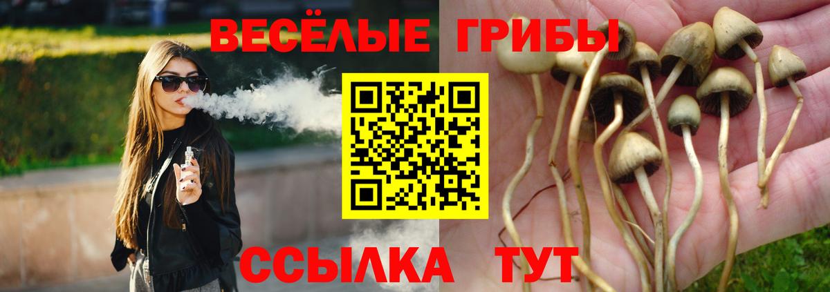 Галлюциногенные грибы MAGIC MUSHROOMS  Вход с VPN  Выкса 