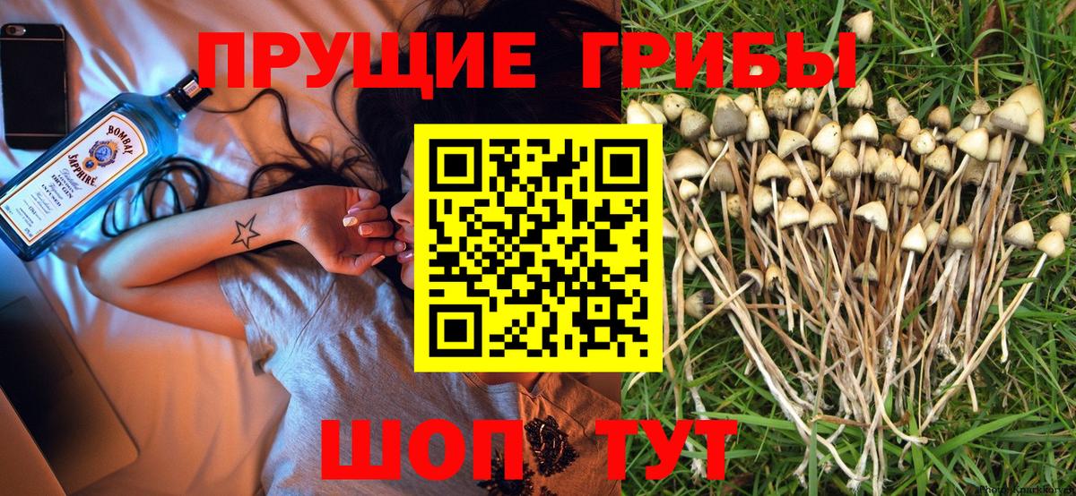Галлюциногенные грибы GOLDEN TEACHER Выкса